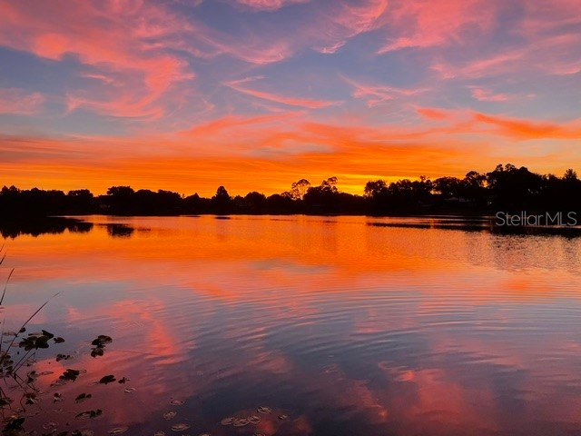 2939 Dawley Avenue Orlando FL 32806 - Bass Lake O6422640 image68