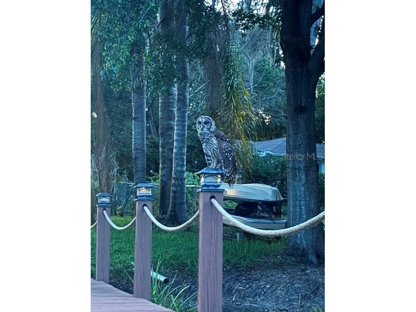 2939 Dawley Avenue Orlando FL 32806 - Bass Lake O6422640 image69