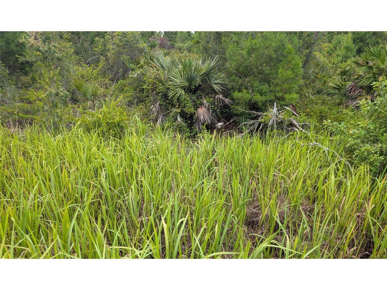 2939 W Seville Drive Avon Park FL 33825 L4955419 image1