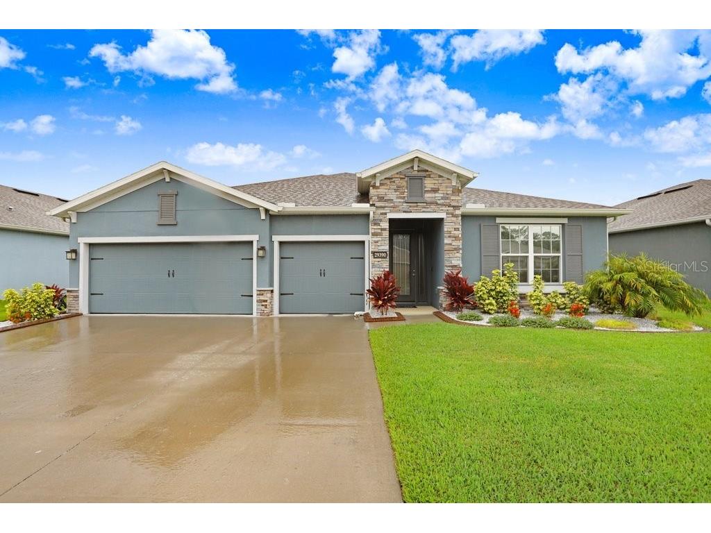 29390 Sedgeway Boulevard Wesley Chapel FL 33544 T3533855 image1