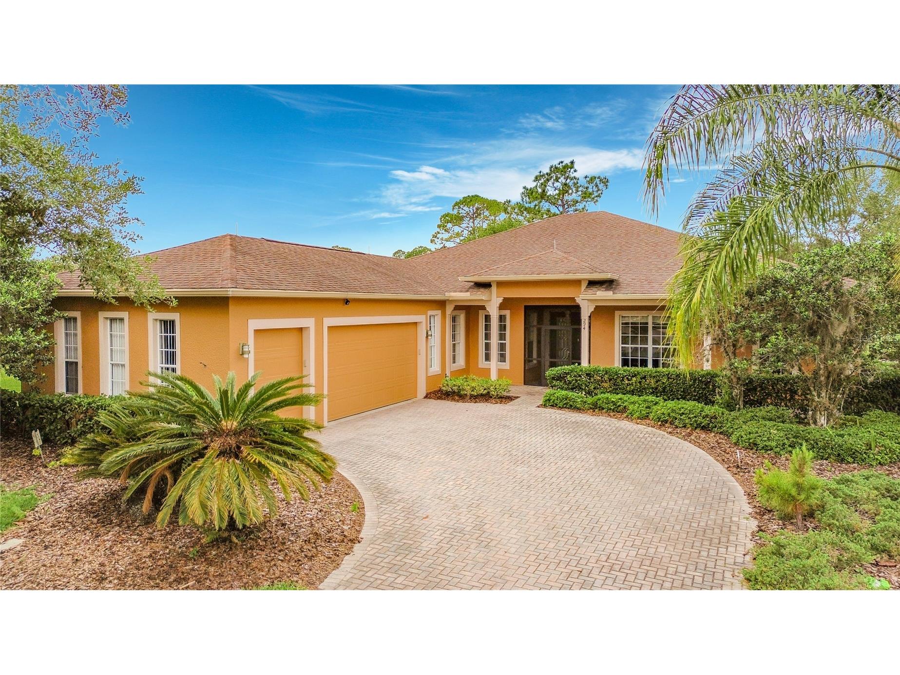 294 Addison Drive Poinciana FL 34759 - Retention pond S5149207 image2