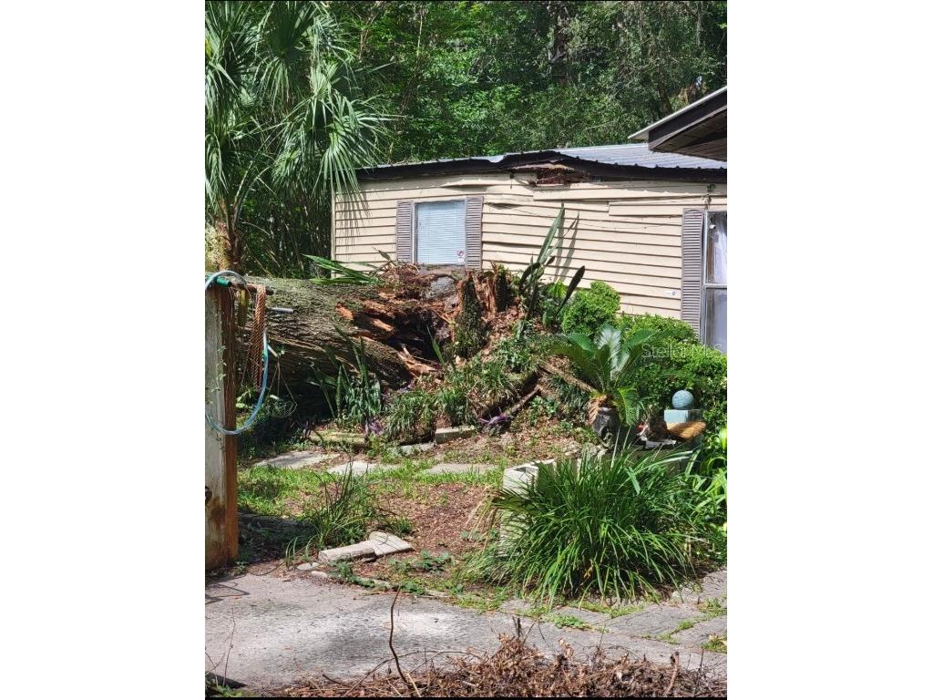 294 SE 81st Street Ocala FL 34480 OM660063 image1