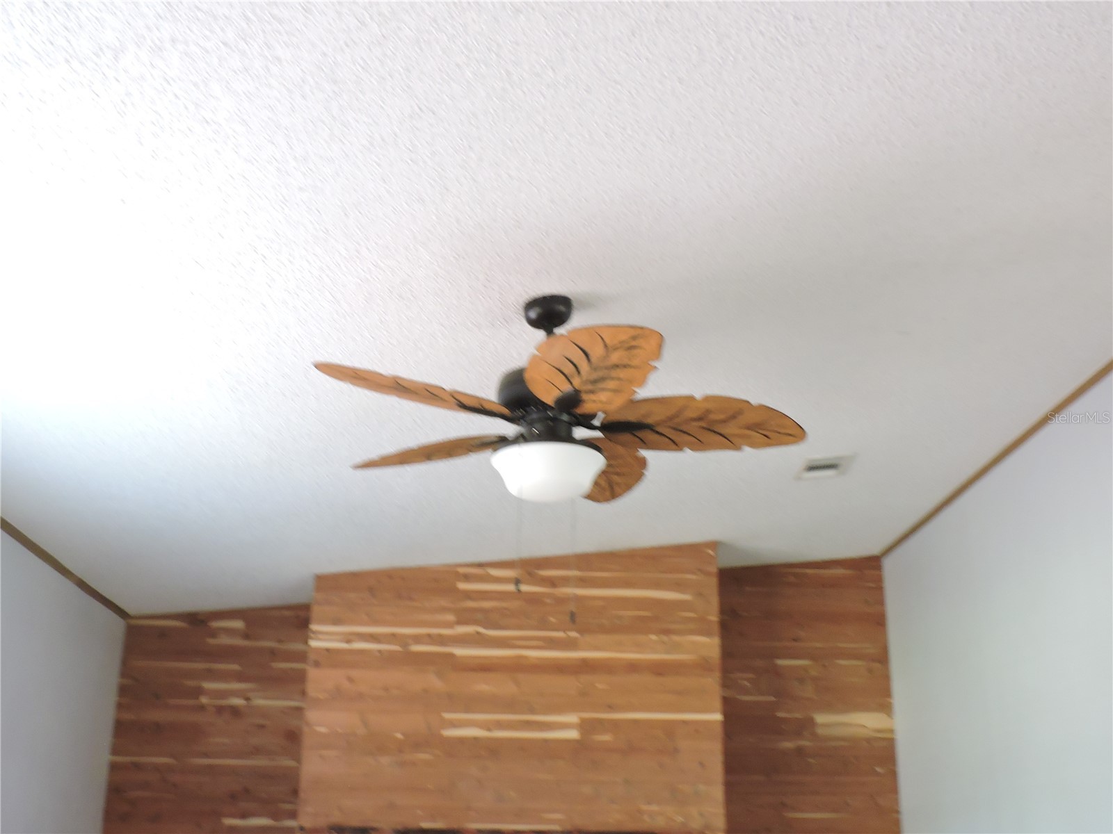 294 Tiger Lake Road Lake Wales FL 33898 K4903378 image12