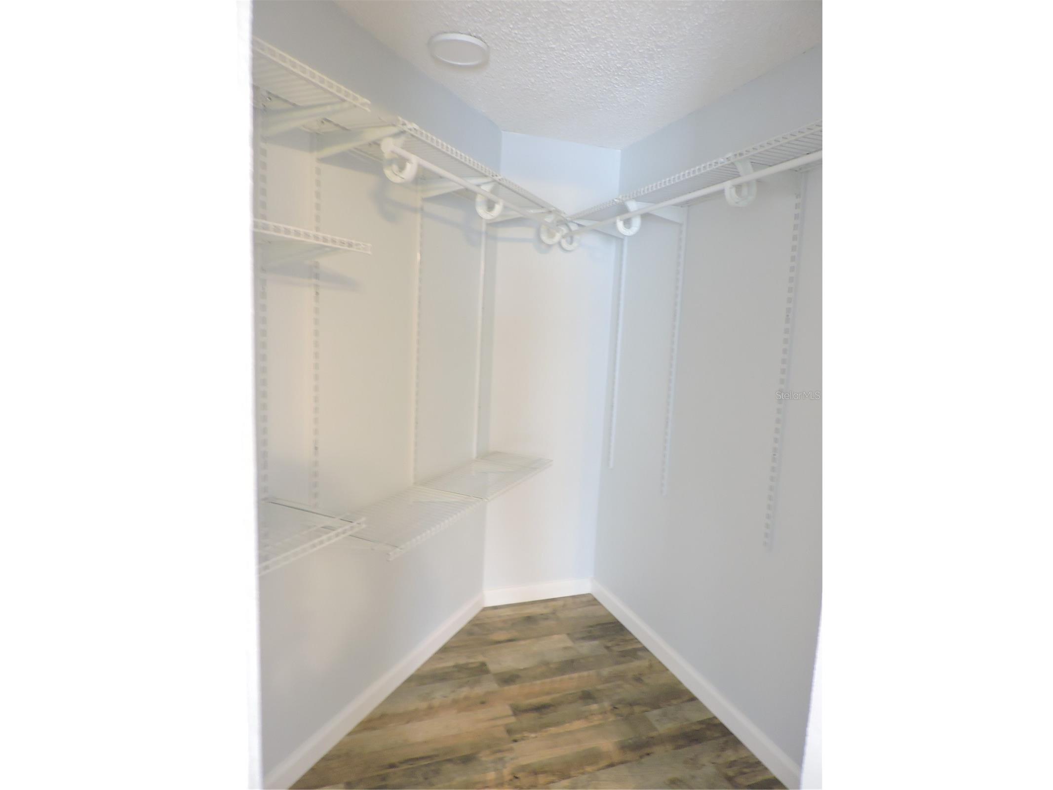 294 Tiger Lake Road Lake Wales FL 33898 K4903378 image29