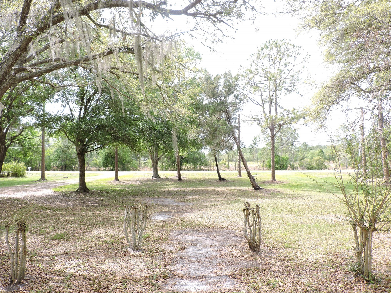 294 Tiger Lake Road Lake Wales FL 33898 K4903378 image49