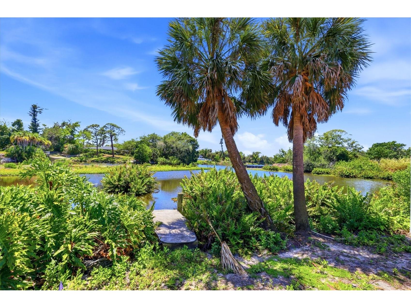 2940 Bougainvillea Street Sarasota FL 34239 - PHILLIPPI CREEK A4689977 image22