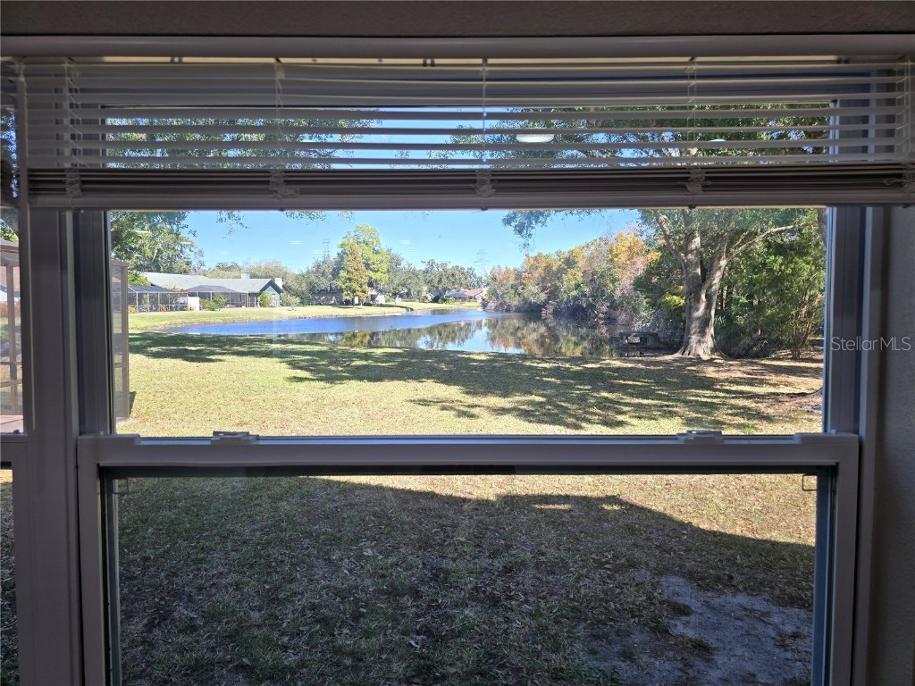 2940 Cypress Ridge Palm Harbor FL 34684 R4910323 image33