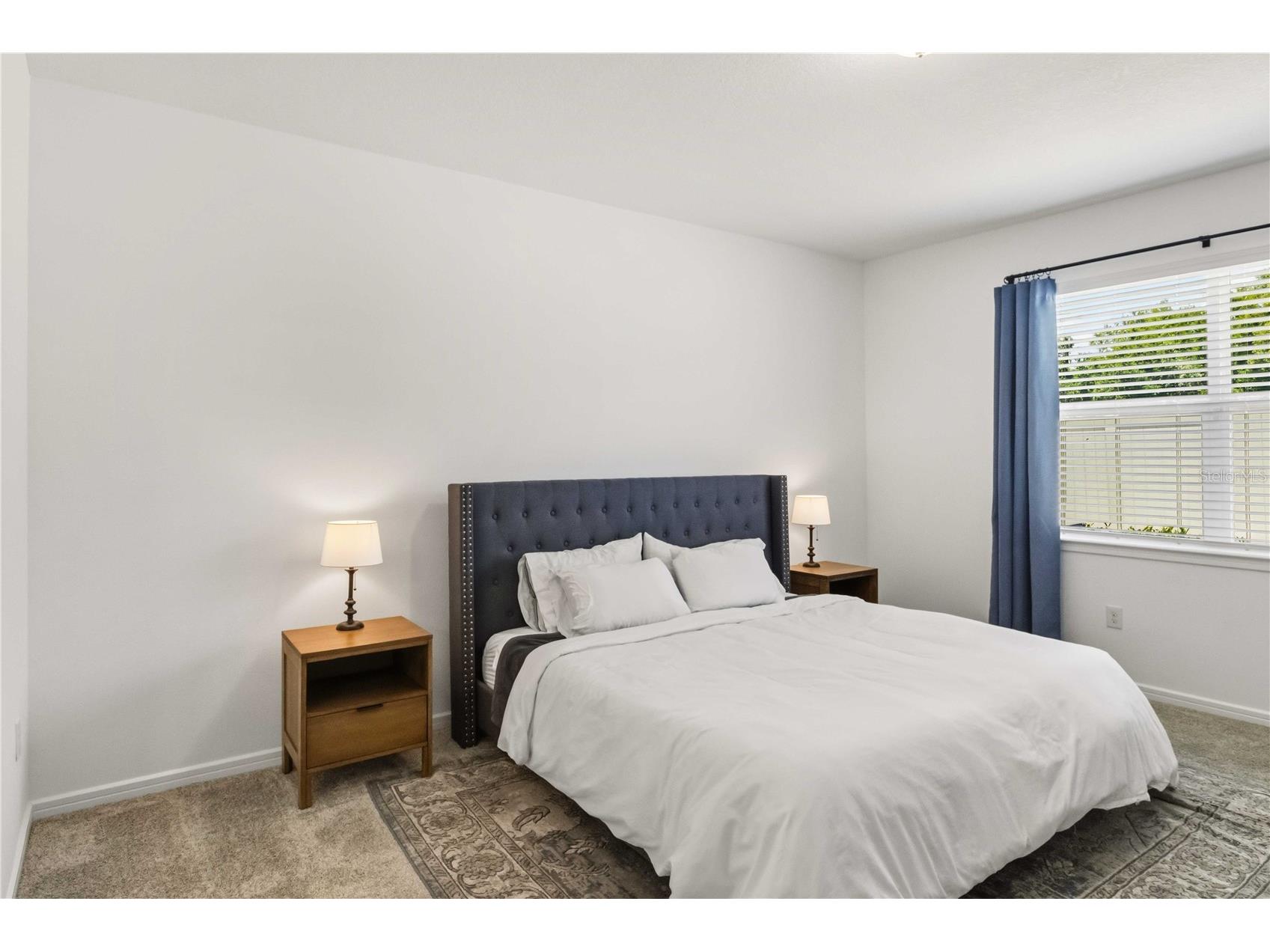 2940 Forest Meadow Avenue Valrico FL 33594 TB8503106 image13