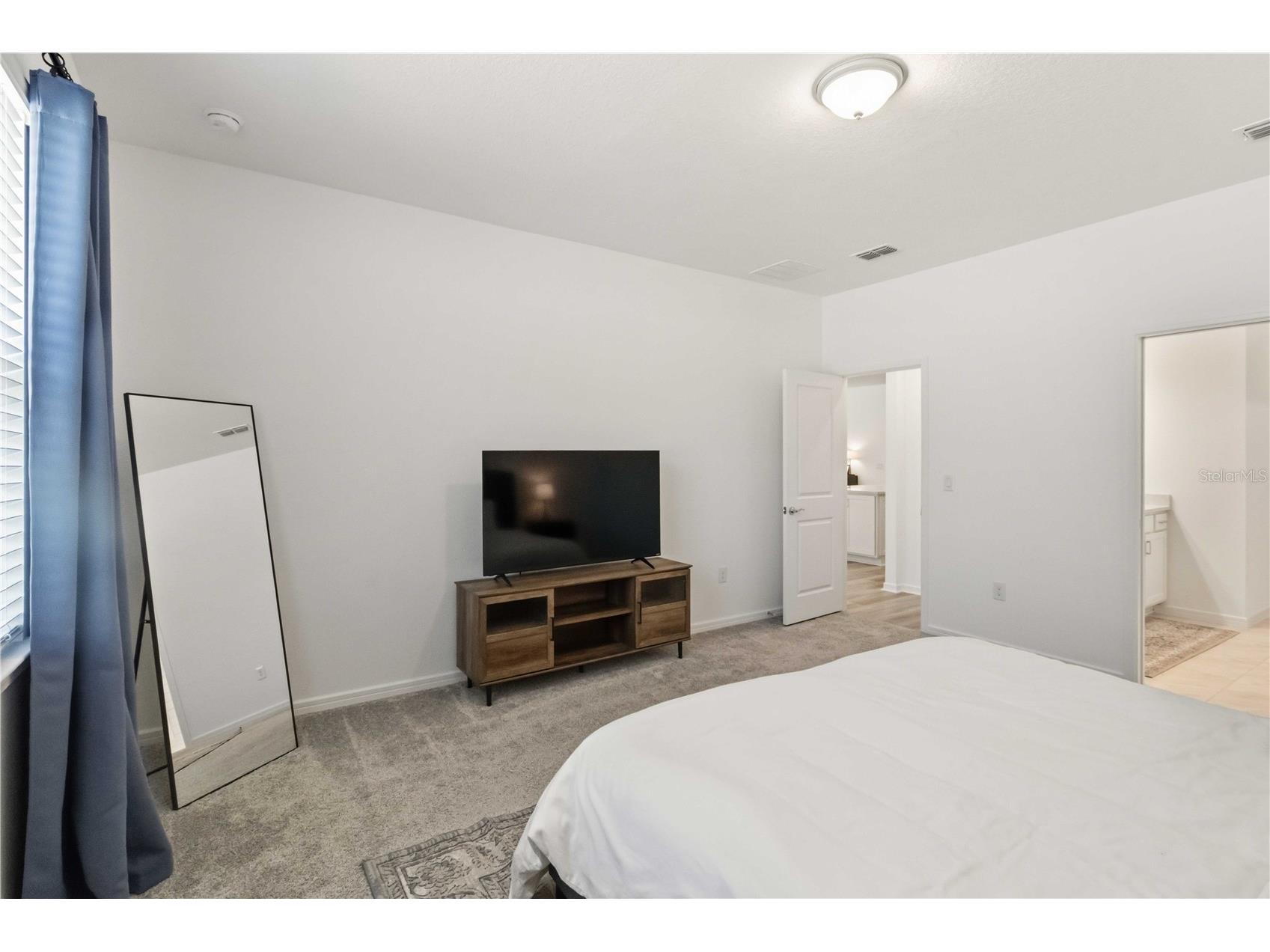 2940 Forest Meadow Avenue Valrico FL 33594 TB8503106 image14