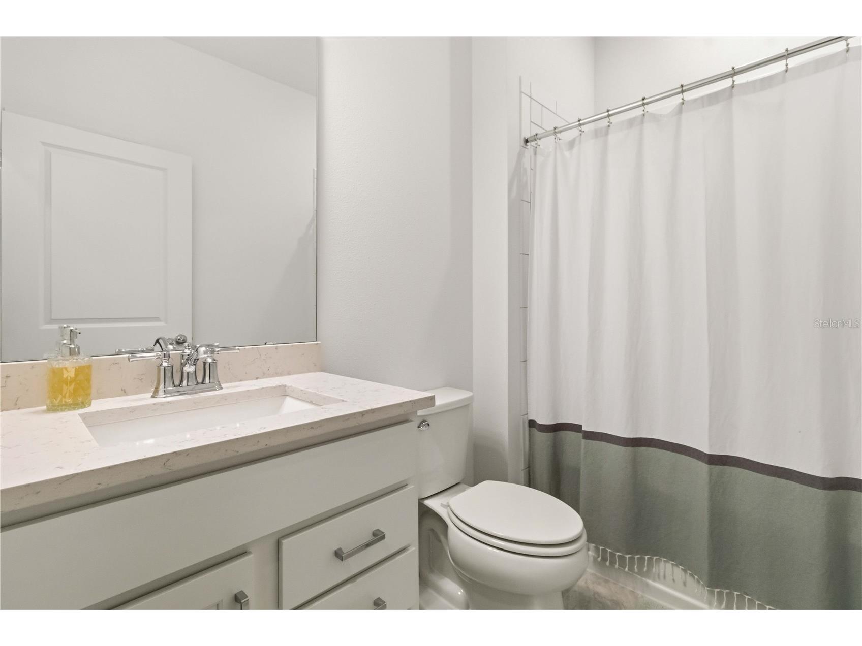 2940 Forest Meadow Avenue Valrico FL 33594 TB8503106 image21