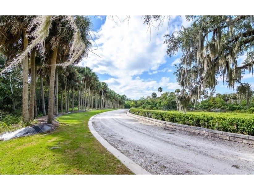 2940 Maritime Lane Merritt Island FL 32953 S5142587 image10