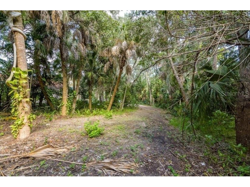 2940 Maritime Lane Merritt Island FL 32953 S5142587 image11