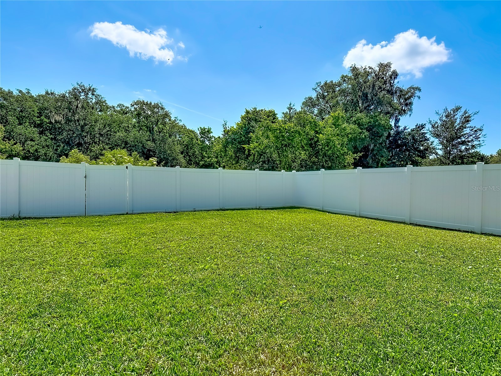 2940 Slough Creek Drive Kissimmee FL 34744 O6404705 image27