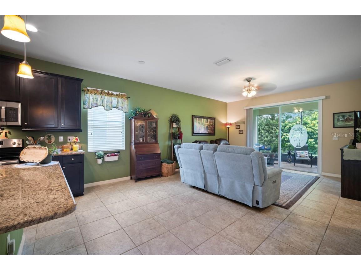 29405 Cochiti Lake Drive San Antonio FL 33576 TB8408080 image10