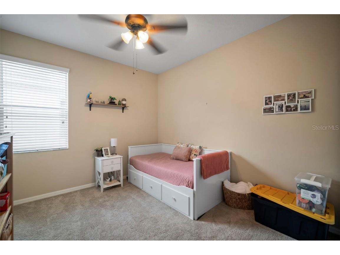 29405 Cochiti Lake Drive San Antonio FL 33576 TB8408080 image18