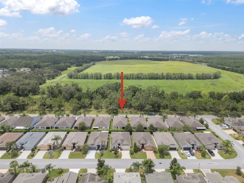 29405 Cochiti Lake Drive San Antonio FL 33576 TB8408080 image3