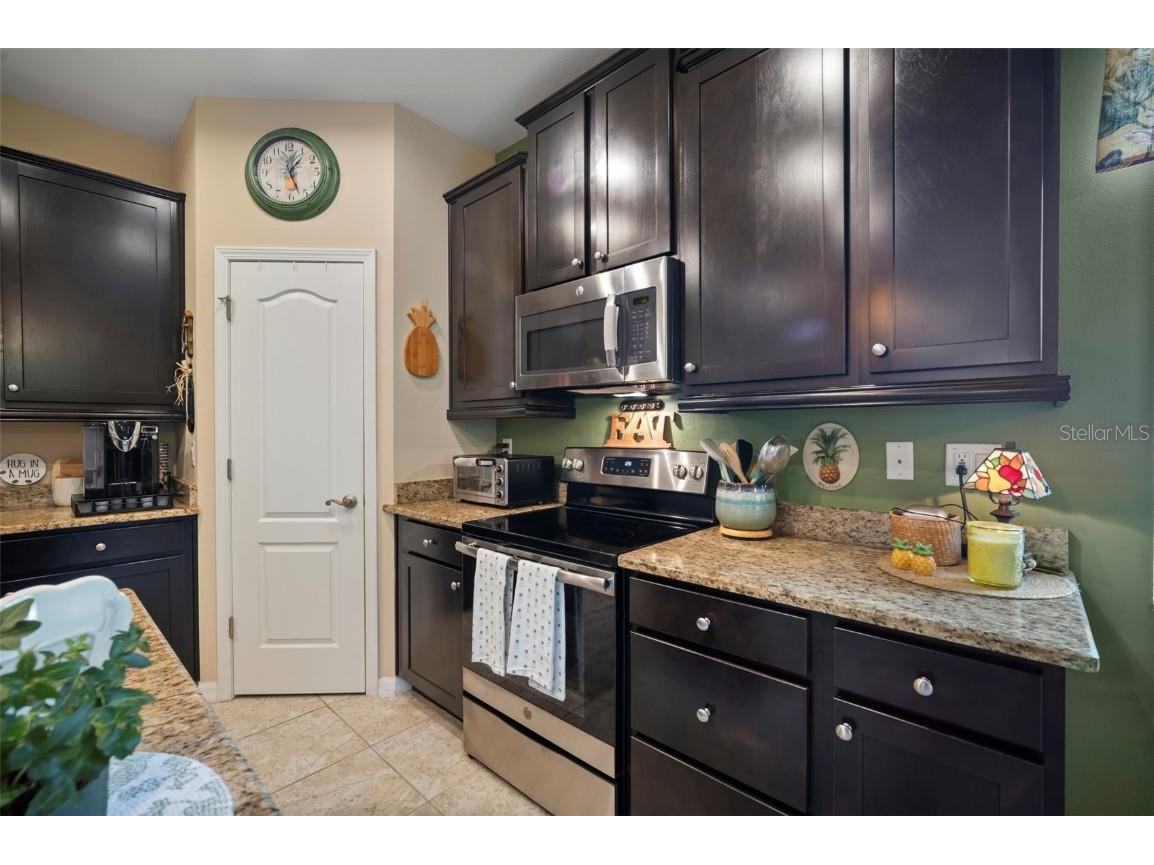 29405 Cochiti Lake Drive San Antonio FL 33576 TB8408080 image9