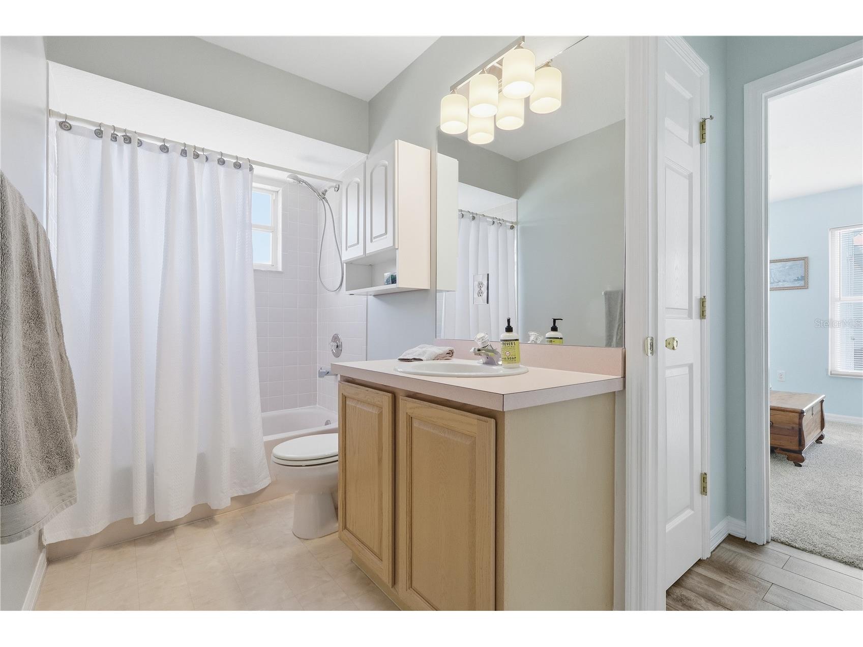 29406 Zeller Avenue San Antonio FL 33576 TB8473515 image19