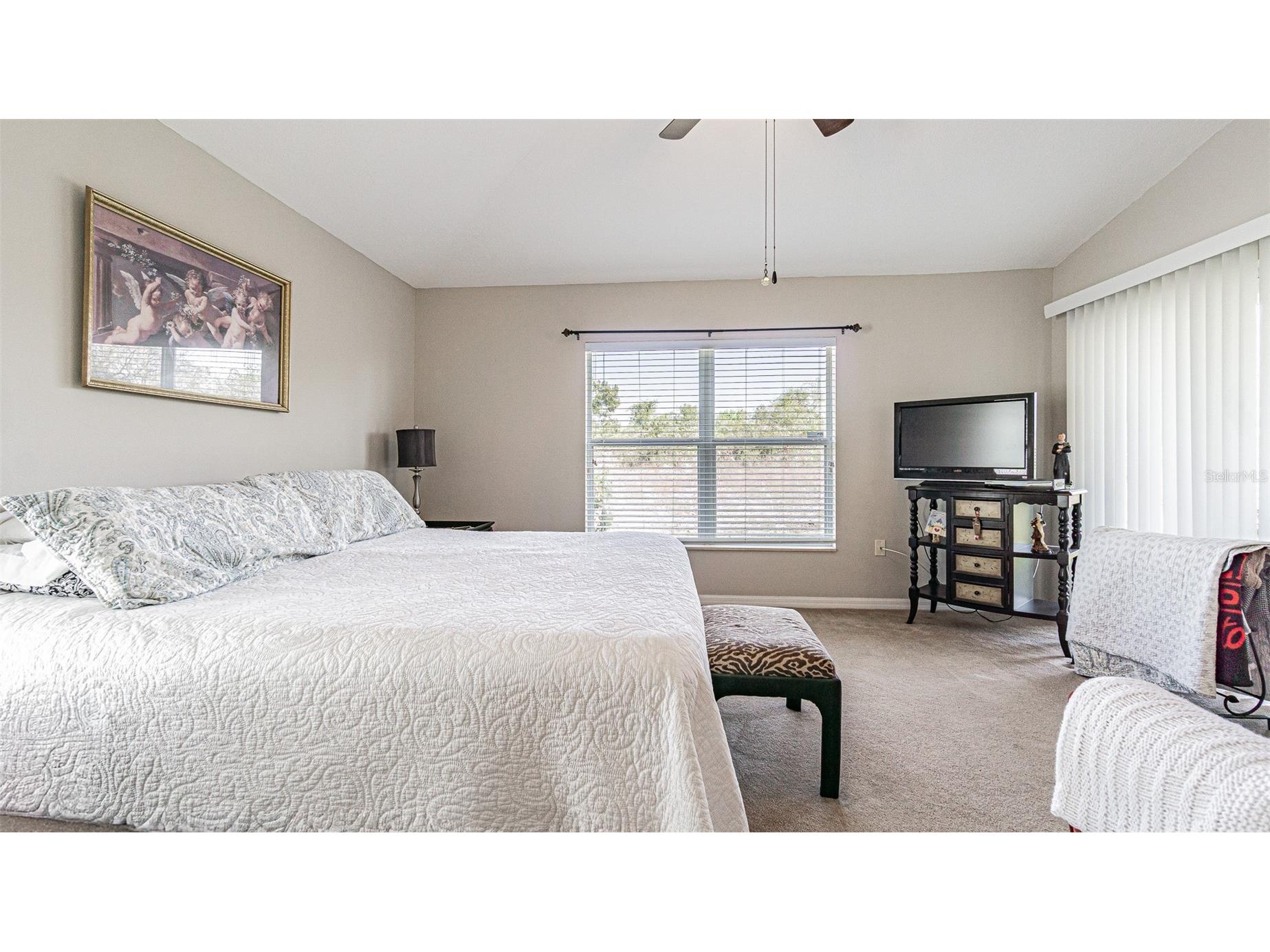29407 Snap Hook Drive San Antonio FL 33576 TB8485731 image16
