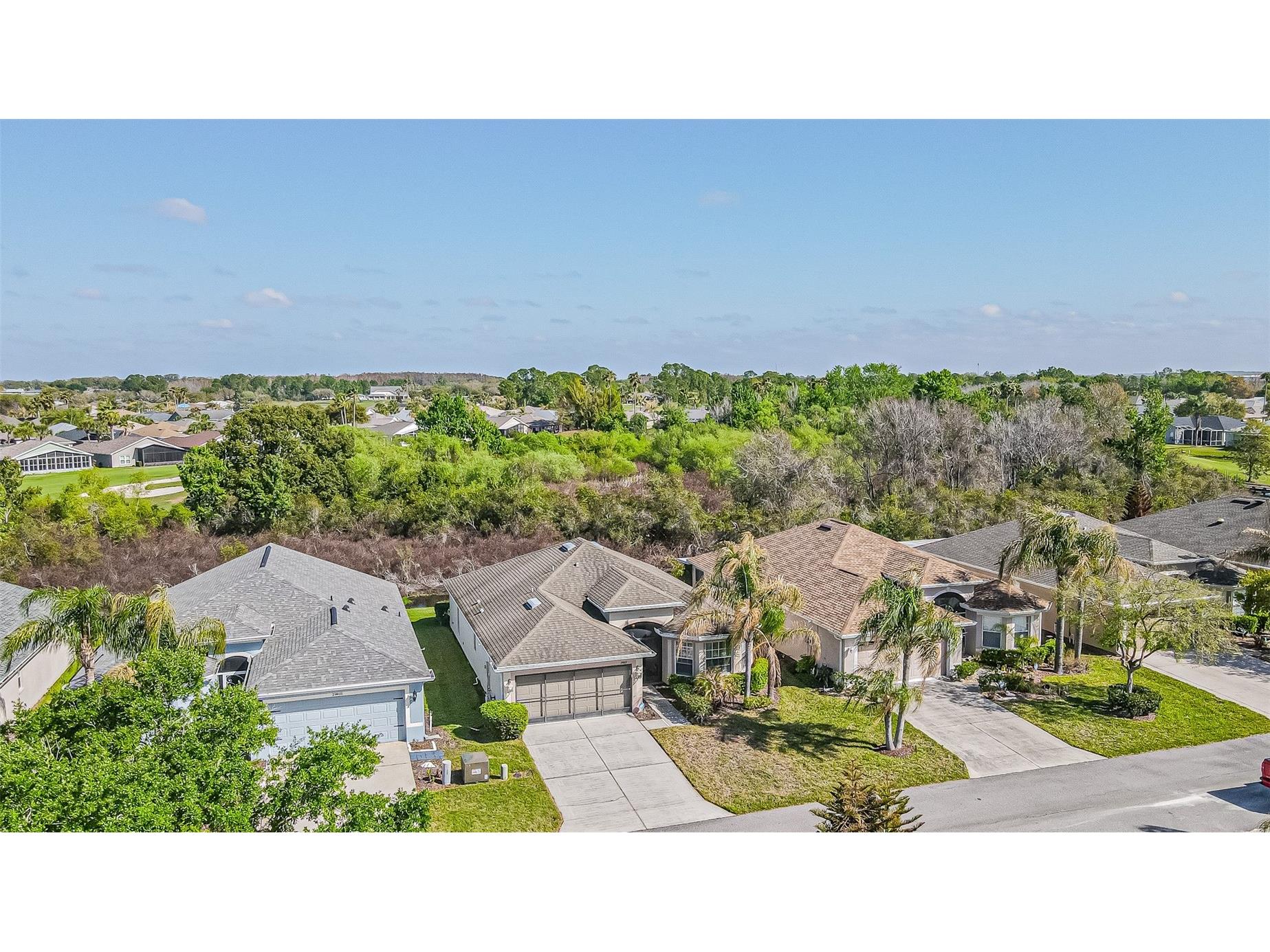 29407 Snap Hook Drive San Antonio FL 33576 TB8485731 image22