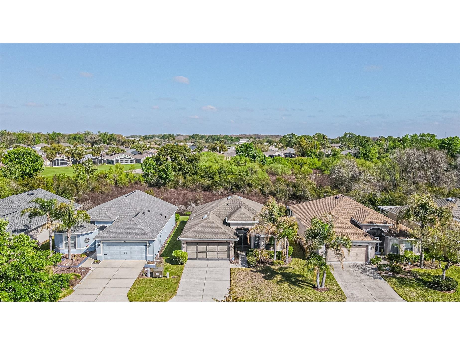 29407 Snap Hook Drive San Antonio FL 33576 TB8485731 image23