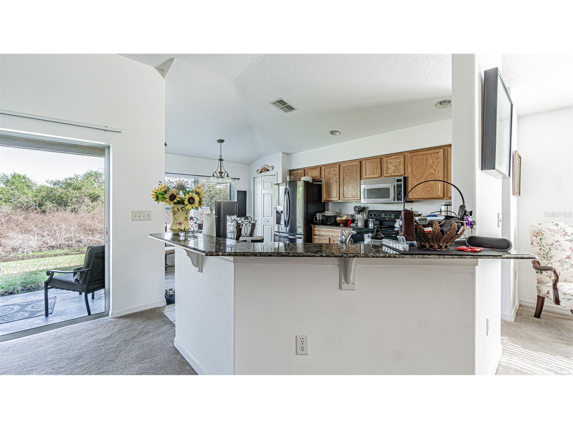 29407 Snap Hook Drive San Antonio FL 33576 TB8485731 image8