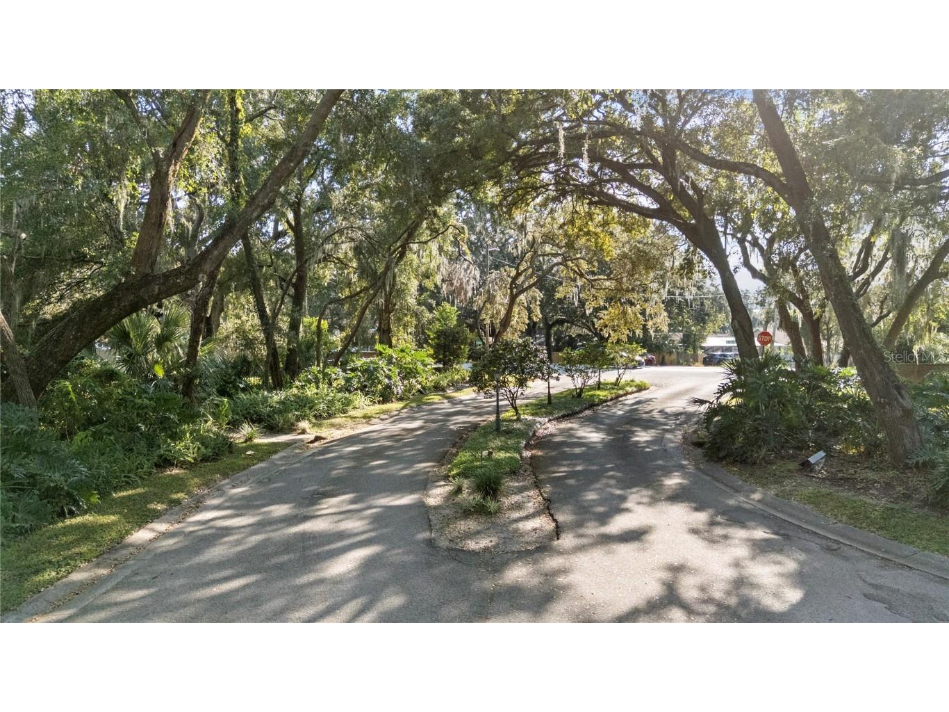 2941 Chelsea Woods Drive Valrico FL 33596 TB8441558 image3