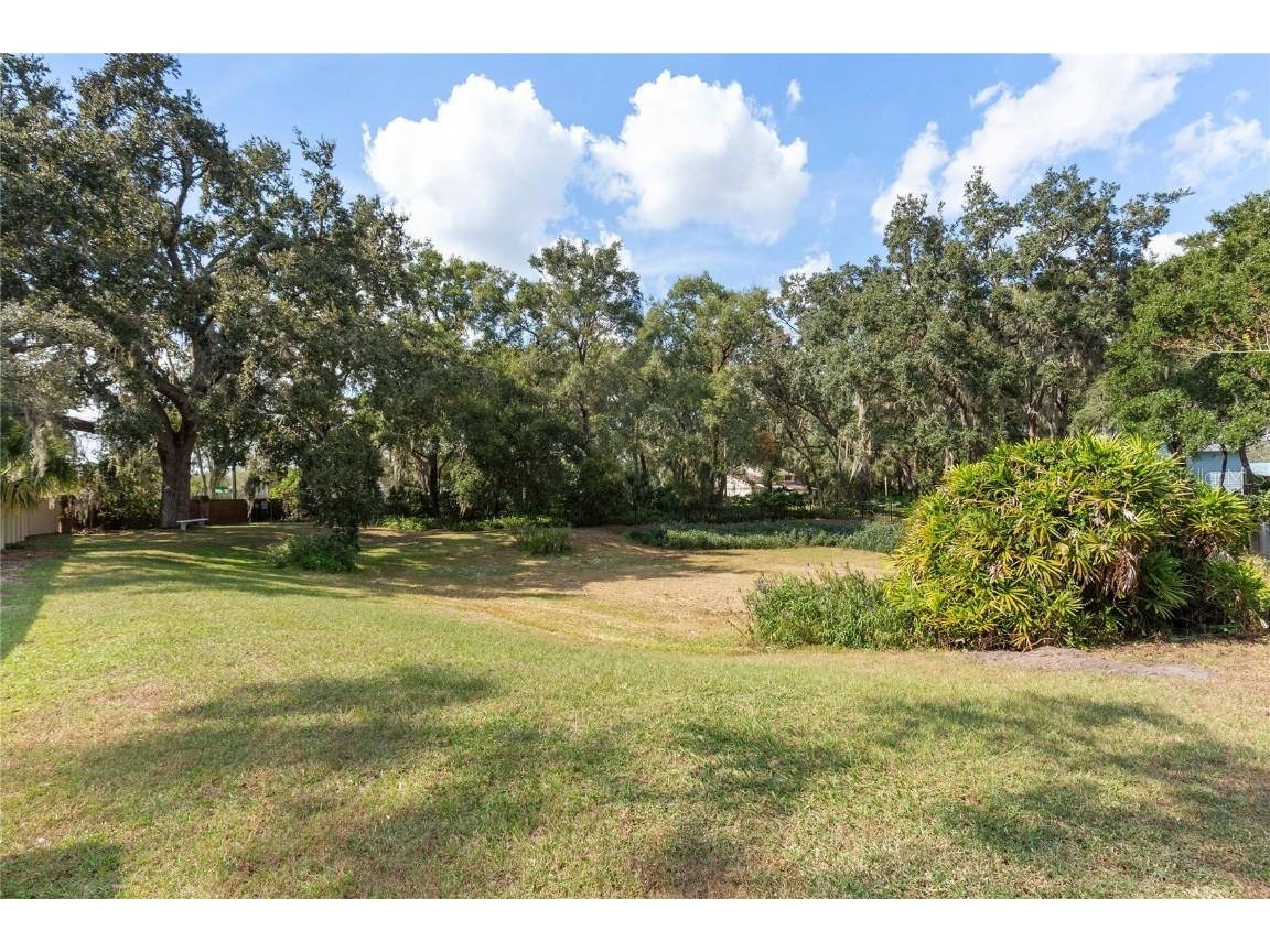 2941 Chelsea Woods Drive Valrico FL 33596 TB8441558 image42