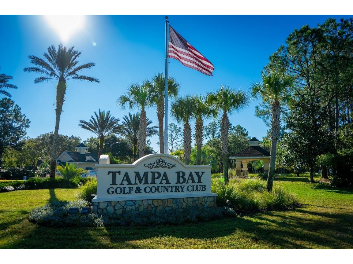 29417 Caddyshack Lane San Antonio FL 33576 TB8405080 image33