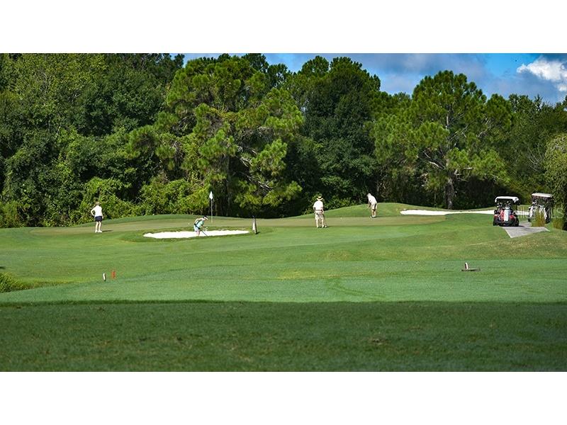 29417 Caddyshack Lane San Antonio FL 33576 TB8405080 image39