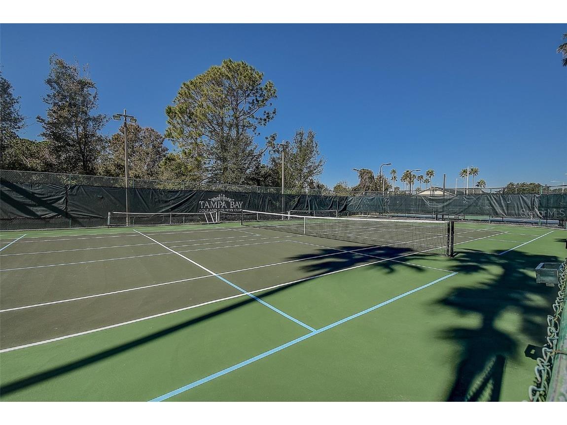 29417 Caddyshack Lane San Antonio FL 33576 TB8405080 image41