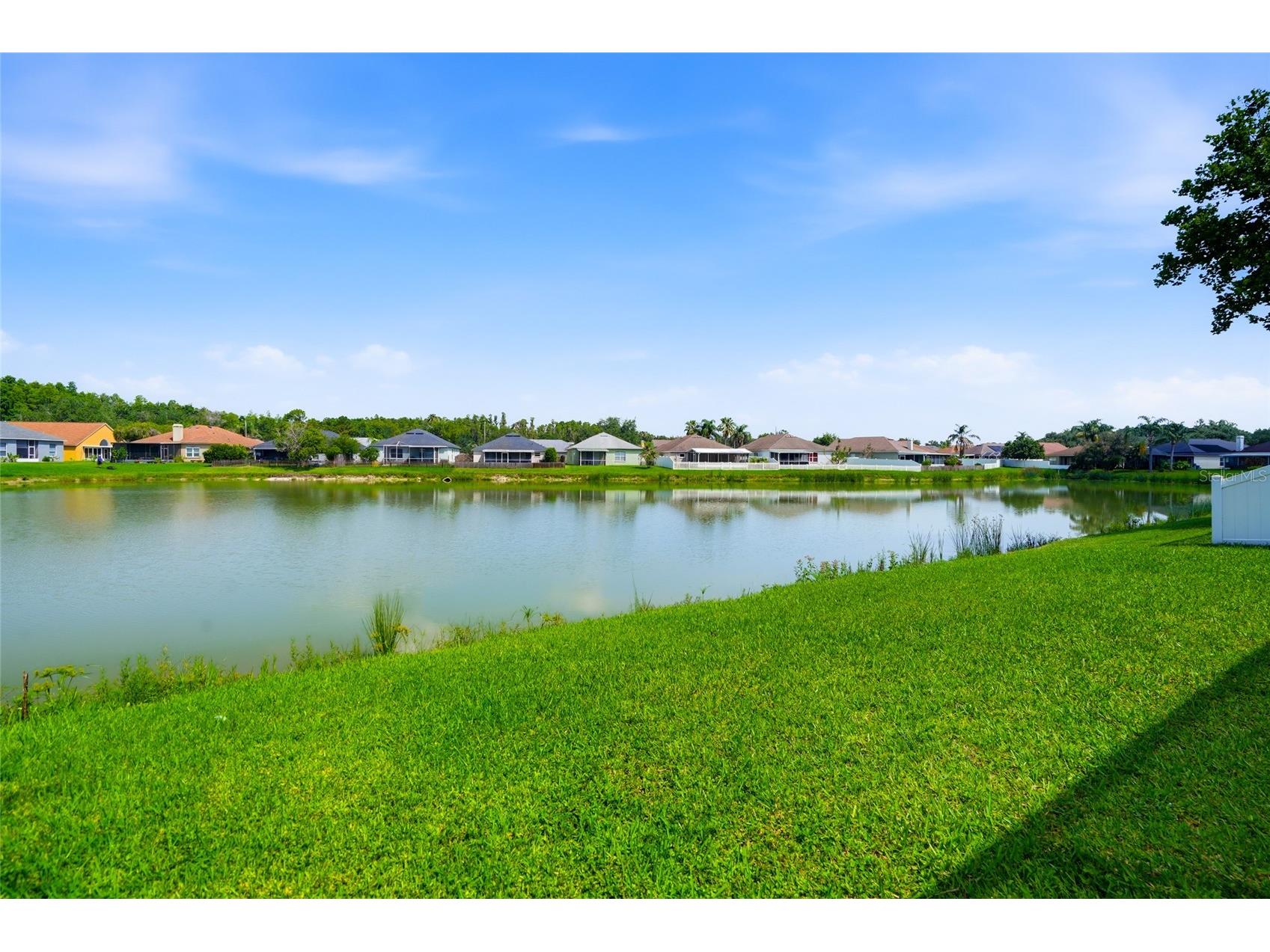 29417 Crossland Drive Wesley Chapel FL 33543 TB8528207 image26