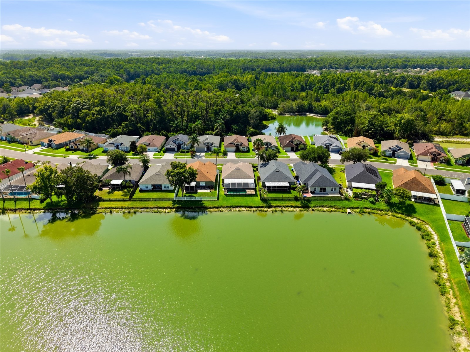 29417 Crossland Drive Wesley Chapel FL 33543 TB8528207 image29
