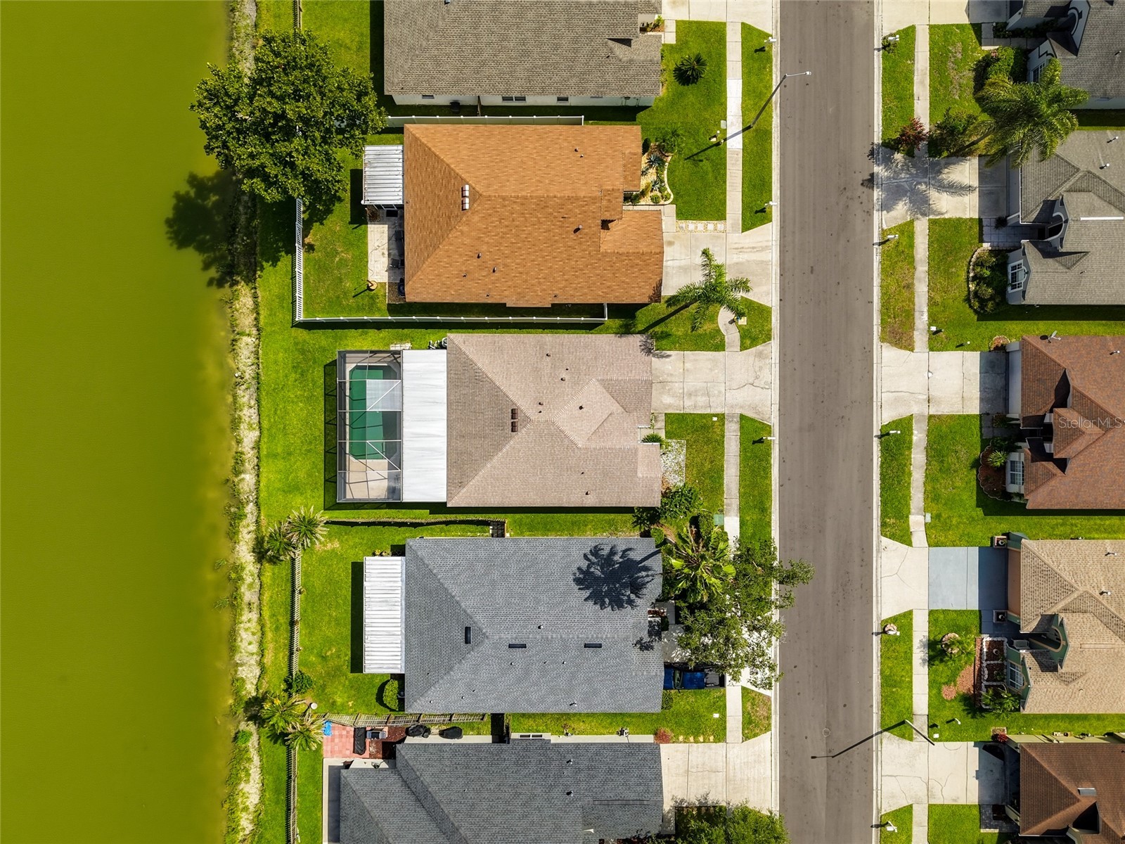 29417 Crossland Drive Wesley Chapel FL 33543 TB8528207 image31