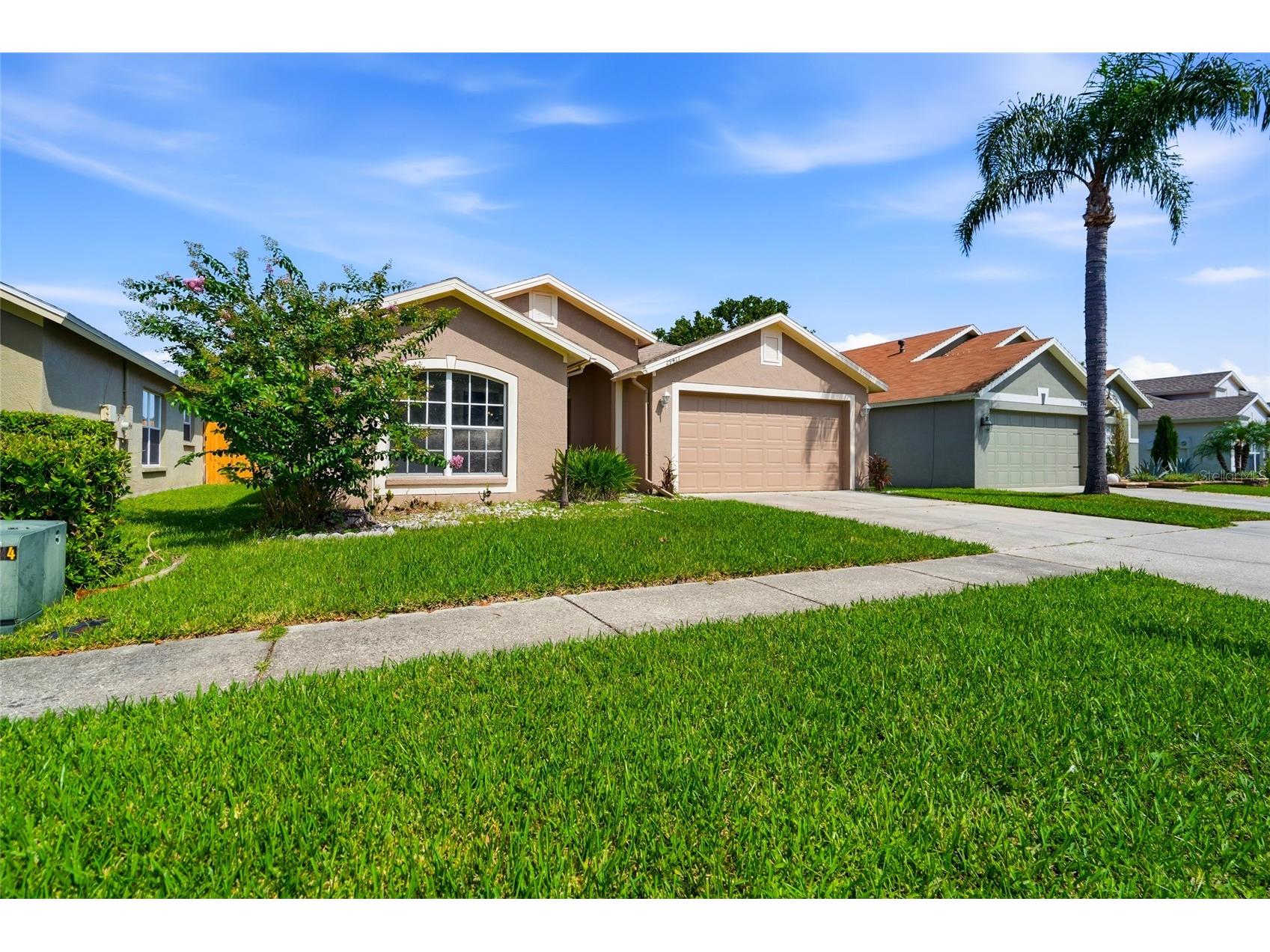 29417 Crossland Drive Wesley Chapel FL 33543 TB8528207 image4