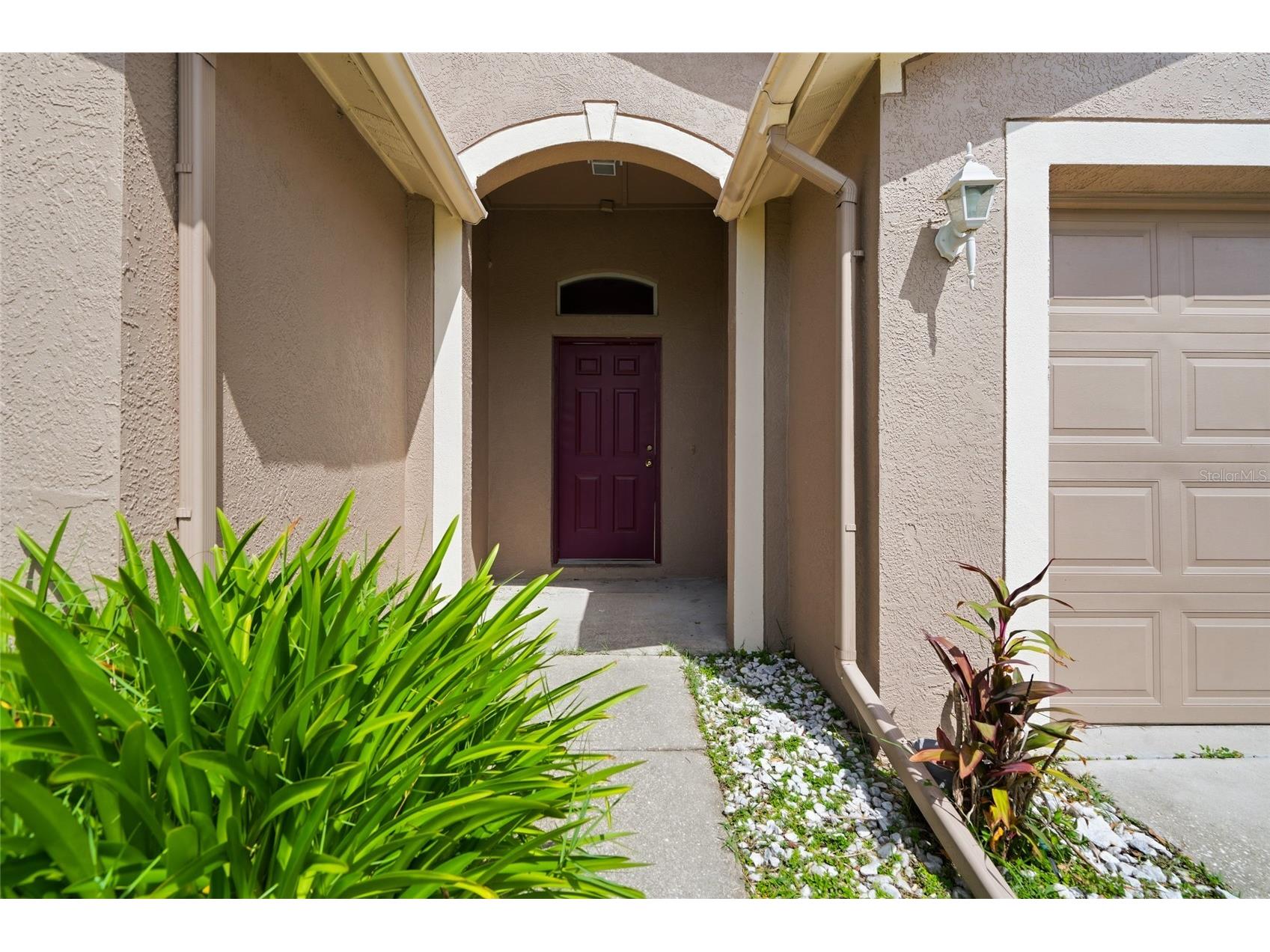 29417 Crossland Drive Wesley Chapel FL 33543 TB8528207 image5