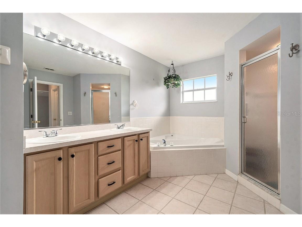 29418 Schinnecock Hills Lane San Antonio FL 33576 TB8442886 image14