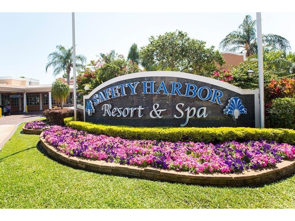 2941A Shore Drive Safety Harbor FL 34695 TB8518312 image8