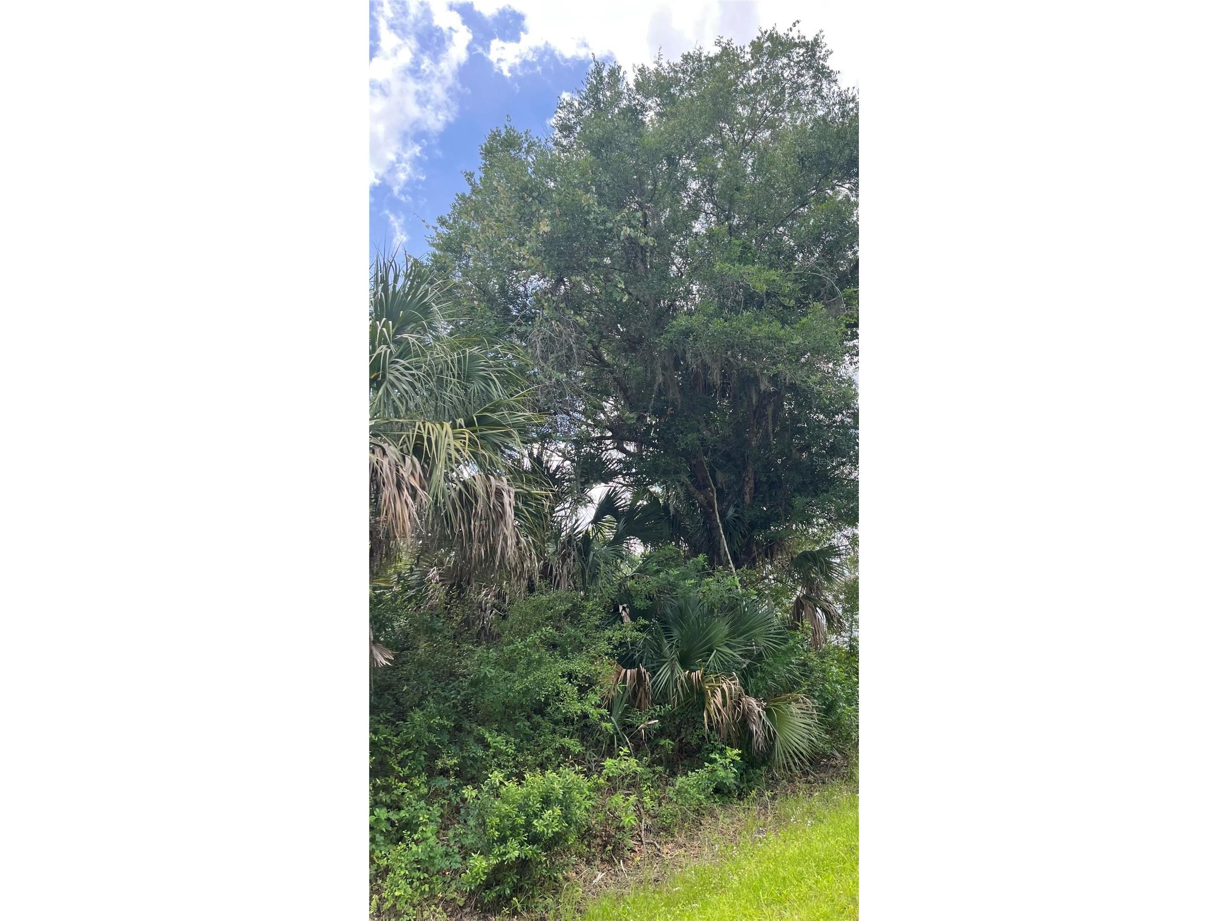 2942 Brownwood Circle Sebring FL 33875 O6410781 image1