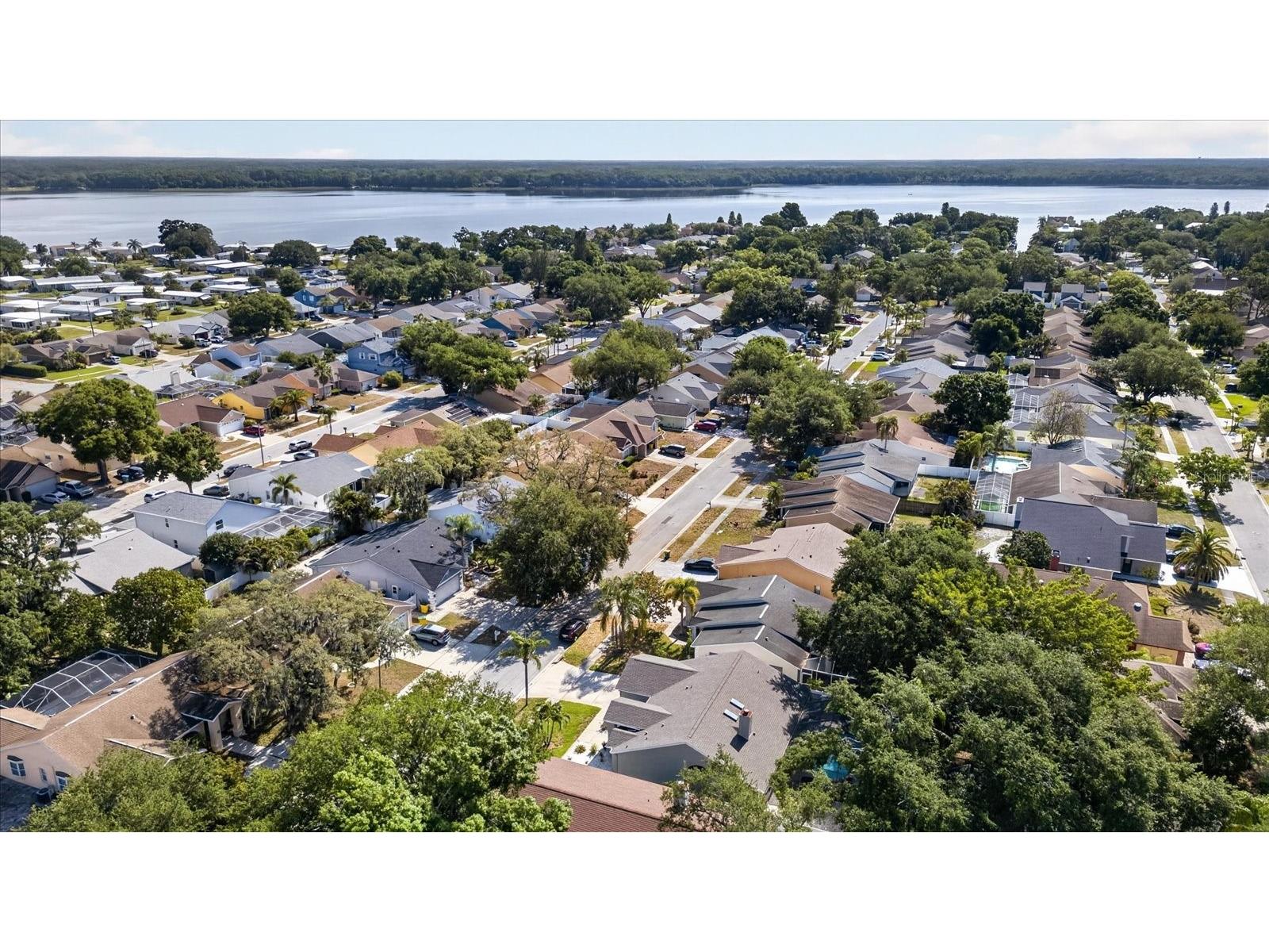 2942 Sean Way Palm Harbor FL 34684 TB8500987 image29