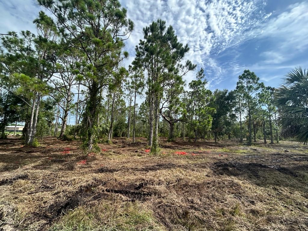 29426 Maris Drive Punta Gorda FL 33982 C7477231 image1