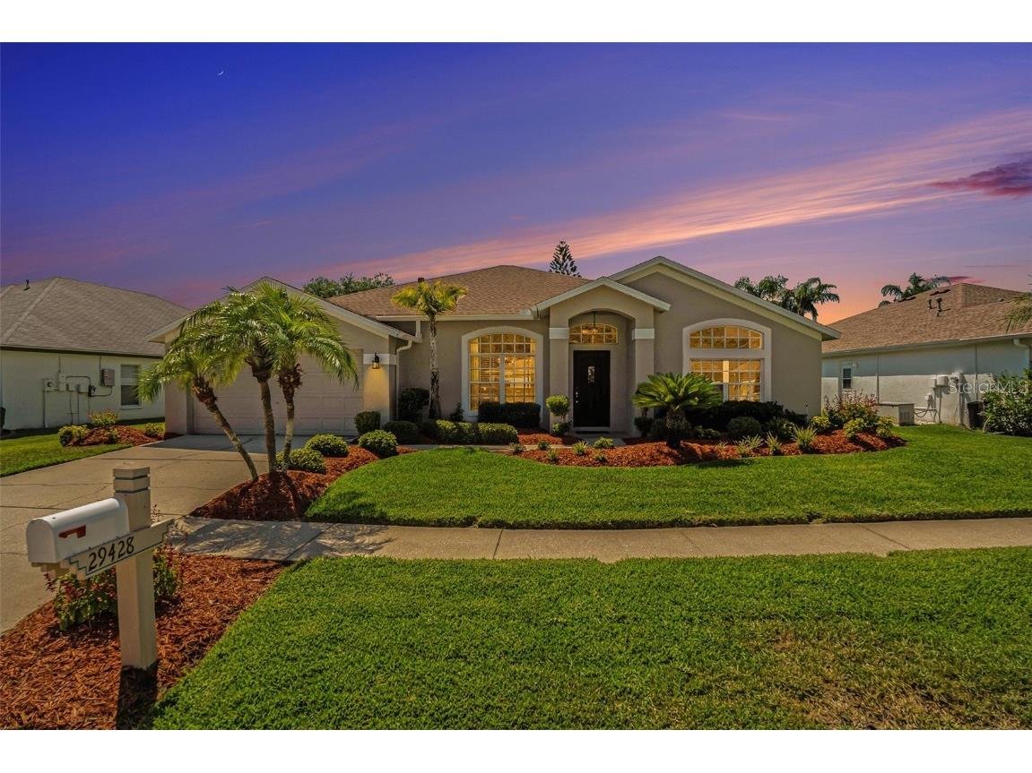 29428 Allegro Drive Wesley Chapel FL 33543 T3530203 image1