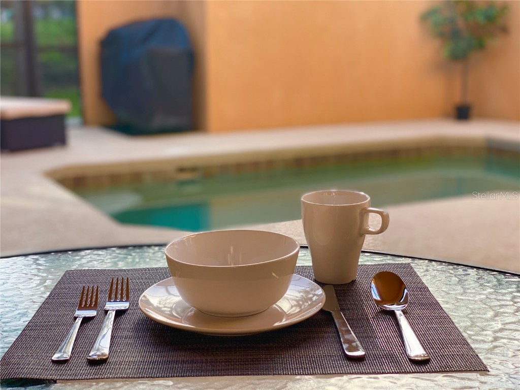 2943 Banana Palm Drive Kissimmee FL 34747 O6278298 image23