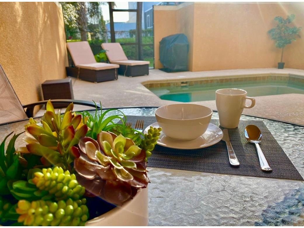 2943 Banana Palm Drive Kissimmee FL 34747 O6278298 image25