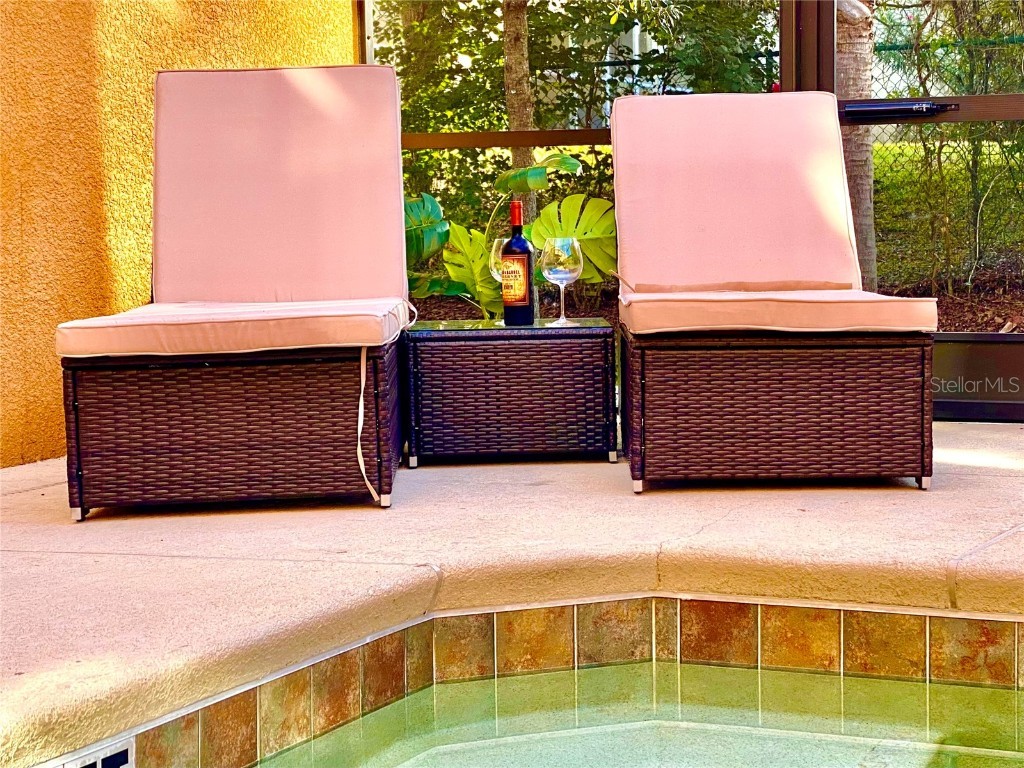 2943 Banana Palm Drive Kissimmee FL 34747 O6278298 image26