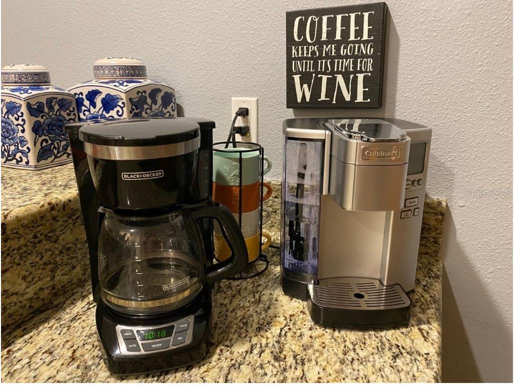 2943 Banana Palm Drive Kissimmee FL 34747 O6278298 image6