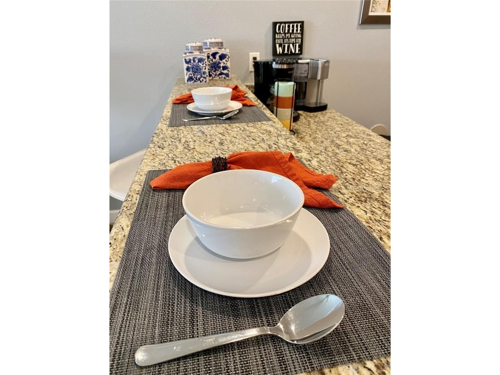 2943 Banana Palm Drive Kissimmee FL 34747 O6278298 image7