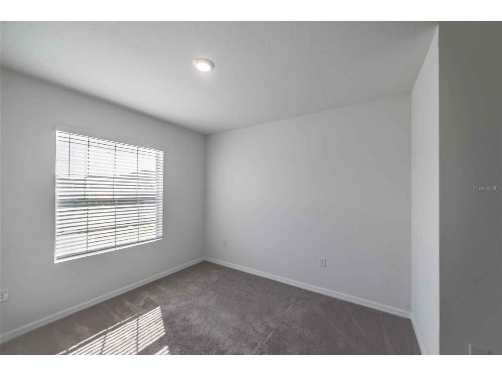 2943 Beluga Bay Drive Odessa FL 33556 TB8474538 image16