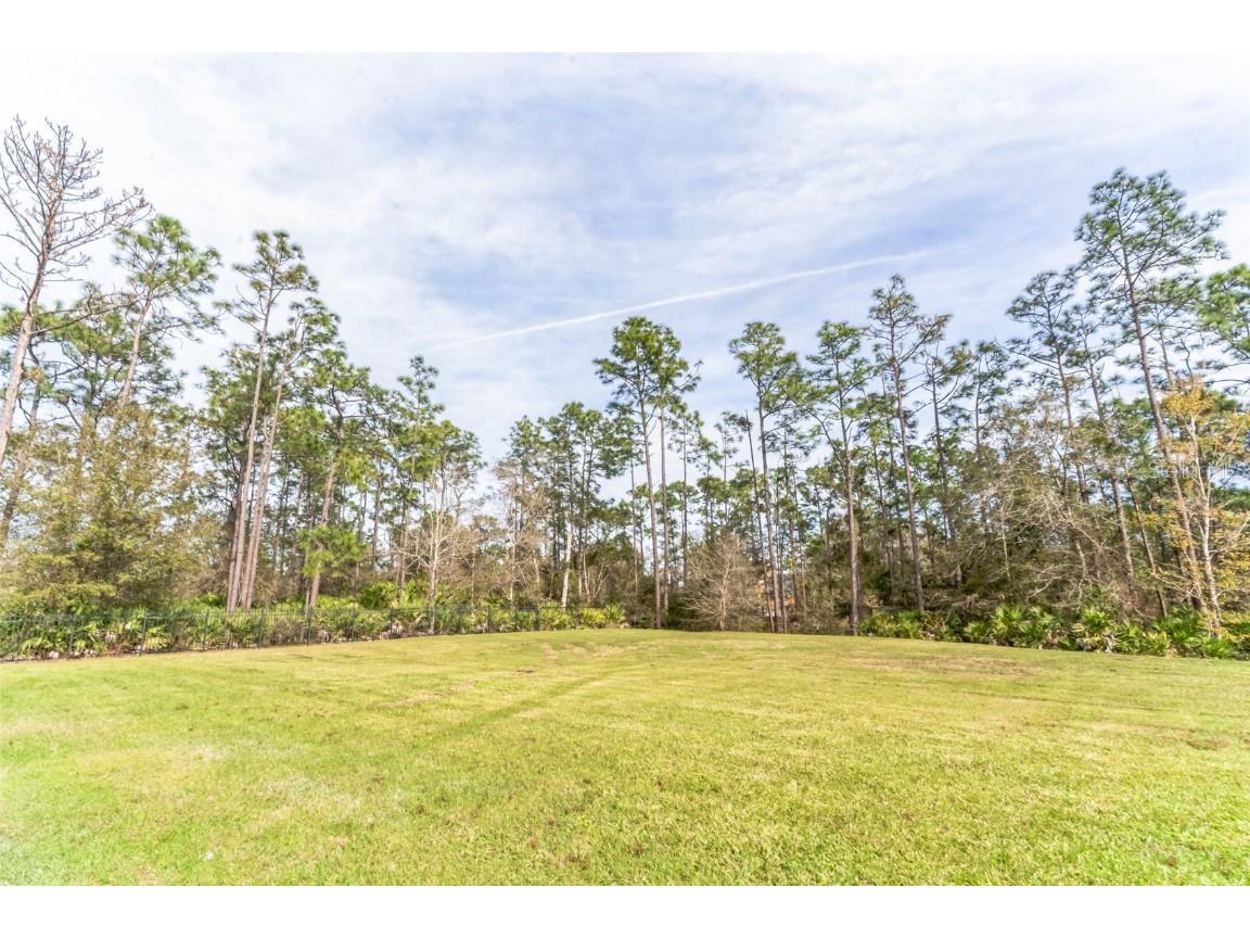 2943 Decker Avenue Orlando FL 32833 O6323376 image30