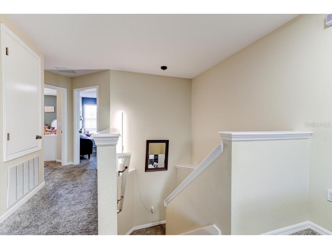 2943 Etowah Park Boulevard Tavares FL 32778 G5105285 image25